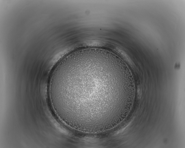 X0000090750725200707271444