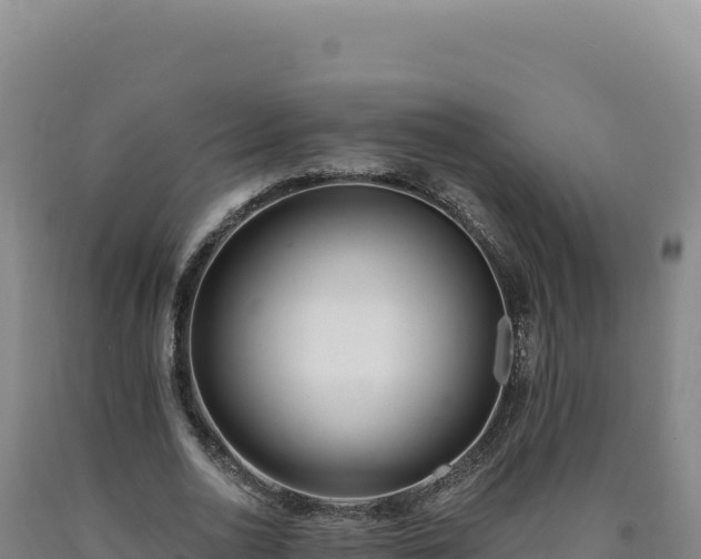 X0000090750726200707271444