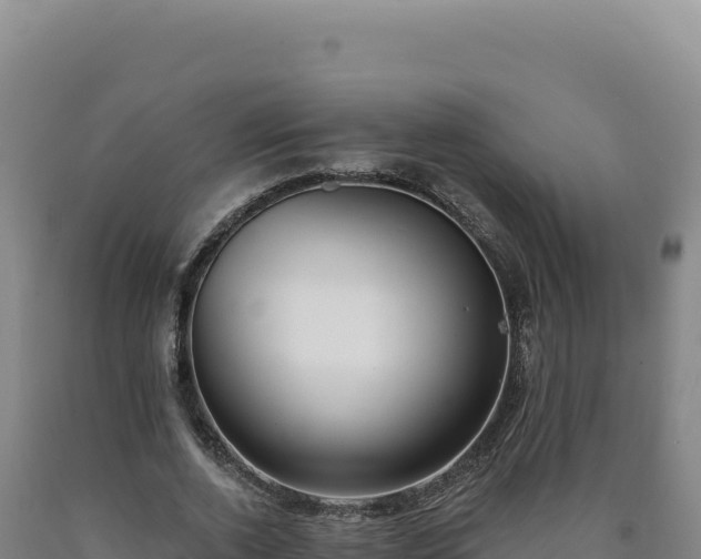 X0000090750728200707271444