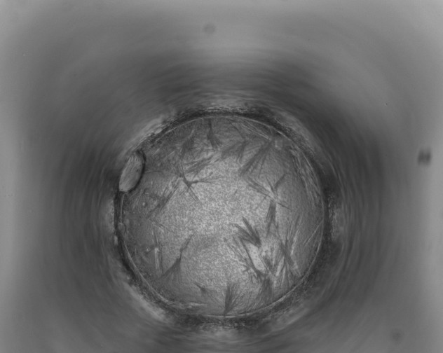 X0000090750729200707271444