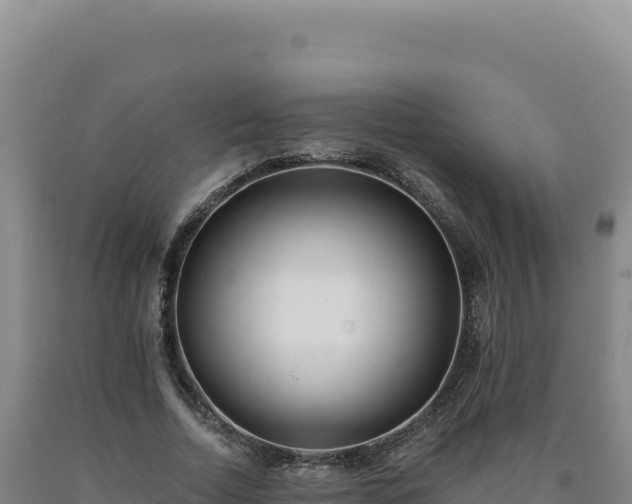 X0000090750730200707271444