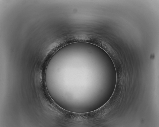 X0000090750731200707271444