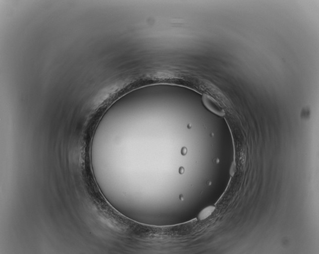 X0000090750732200707271444