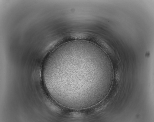 X0000090750733200707271444