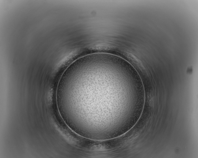 X0000090750735200707271444