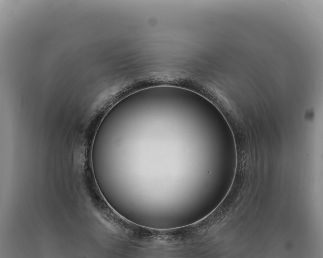 X0000090750736200707271444