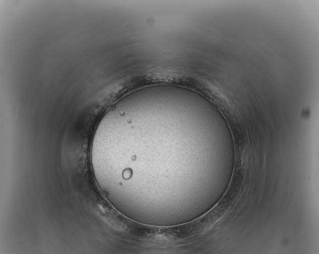 X0000090750737200707271444