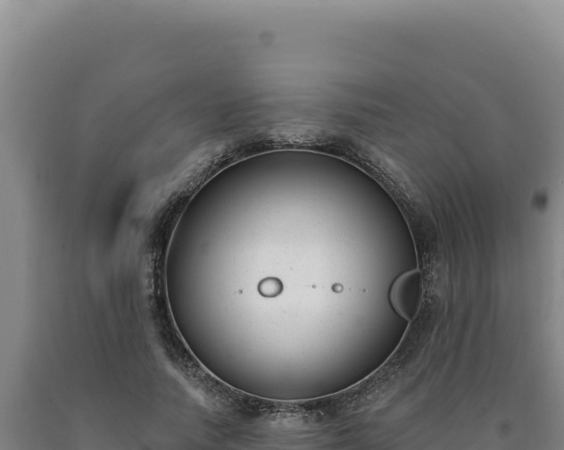 X0000090750738200707271444