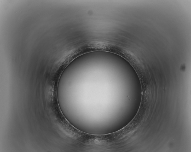 X0000090750739200707271444