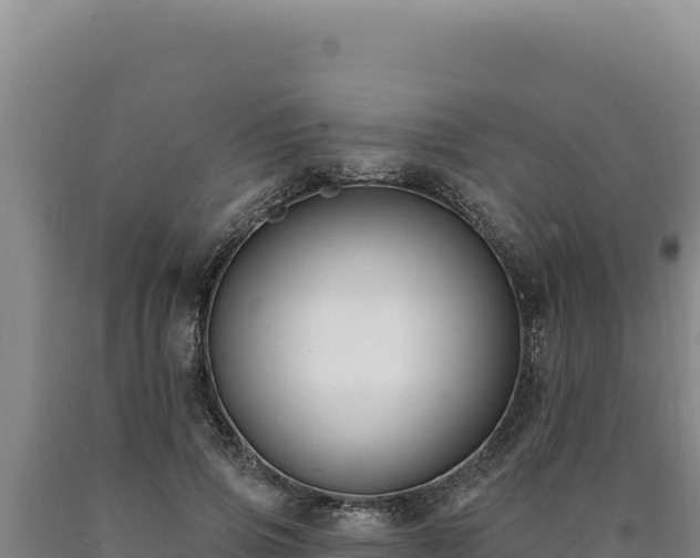 X0000090750741200707271445