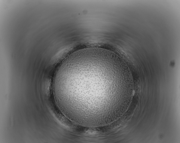 X0000090750742200707271445