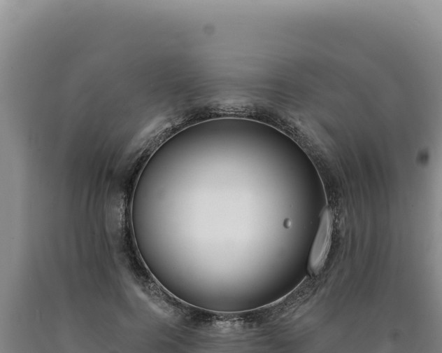 X0000090750744200707271445