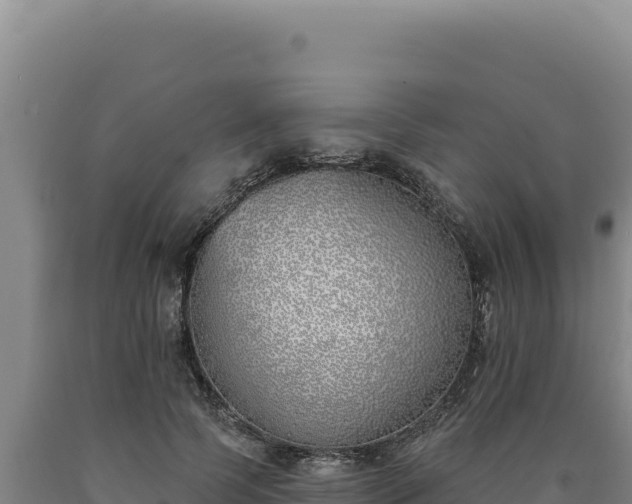 X0000090750745200707271445