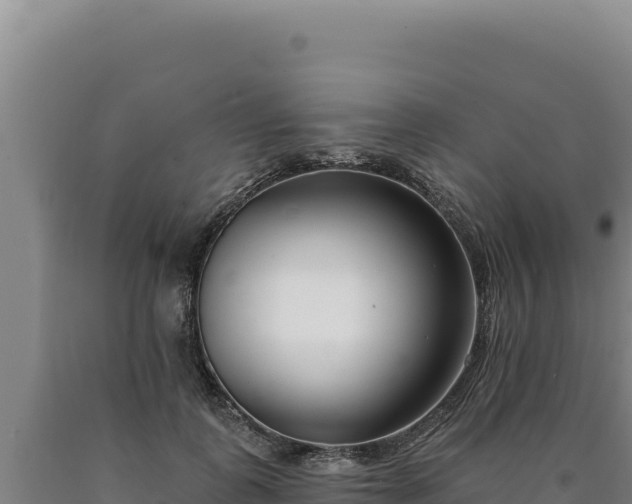 X0000090750747200707271445