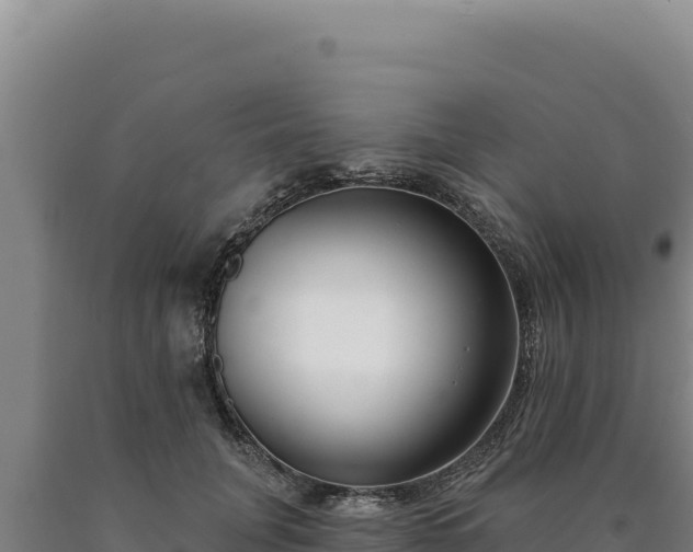 X0000090750751200707271445