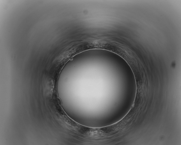 X0000090750752200707271445