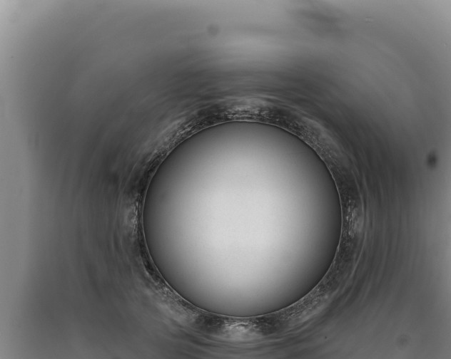 X0000090750753200707271445