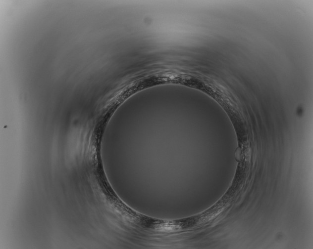 X0000090750754200707271445