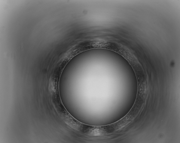 X0000090750755200707271445