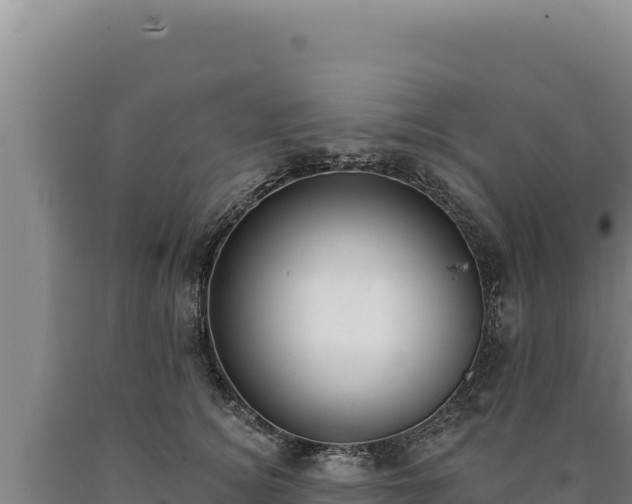 X0000090750756200707271445