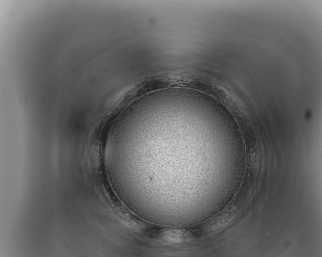 X0000090750757200707271445