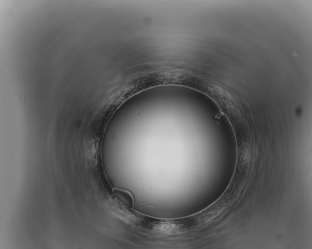 X0000090750759200707271445