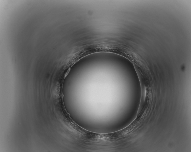 X0000090750760200707271445