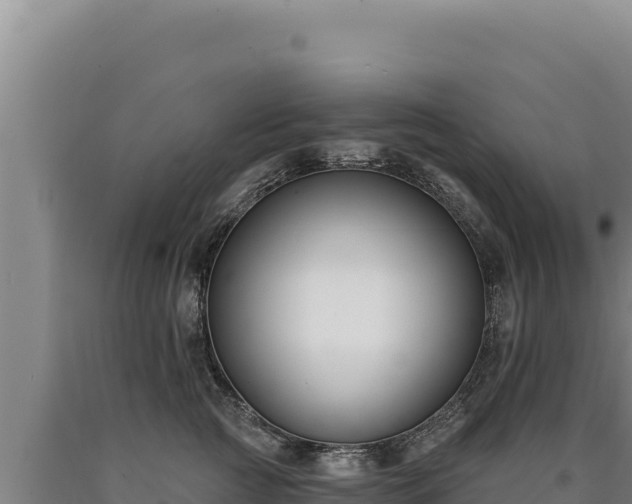 X0000090750761200707271445