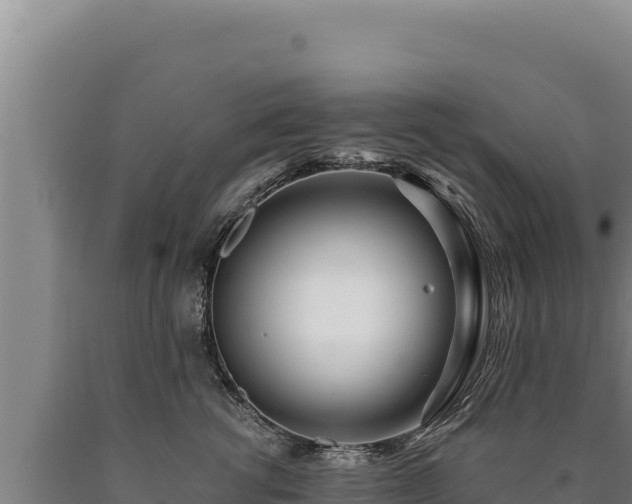 X0000090750762200707271445