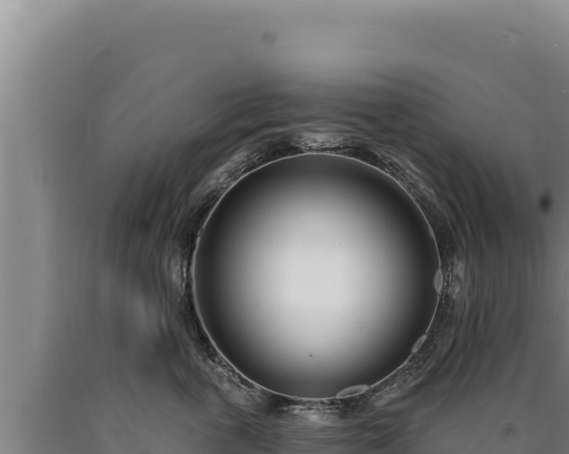 X0000090750763200707271445