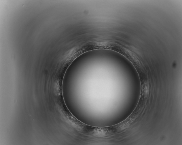 X0000090750764200707271445