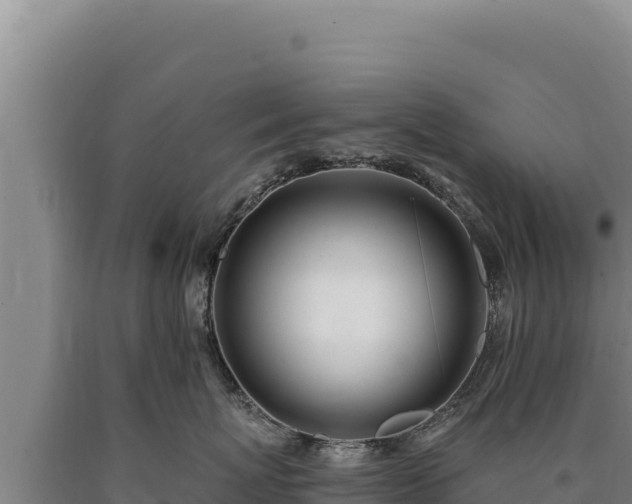 X0000090750767200707271445