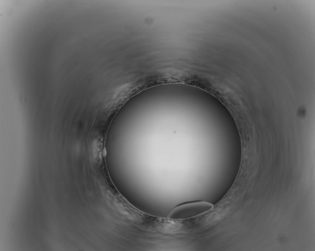 X0000090750768200707271445