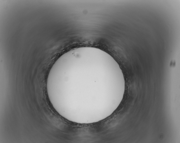 X0000090750769200707271444