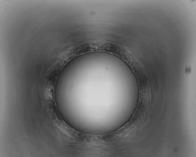 X0000090750770200707271444