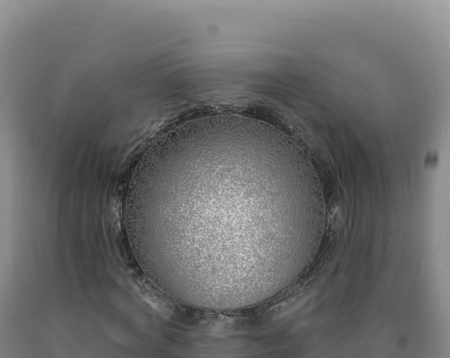 X0000090750772200707271444