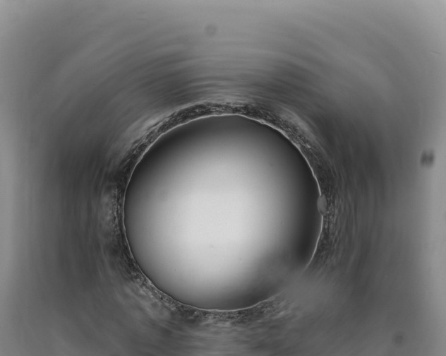 X0000090750773200707271444