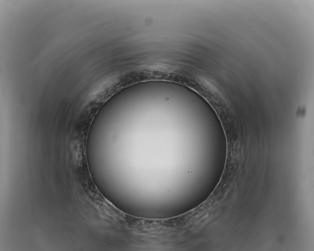 X0000090750774200707271444