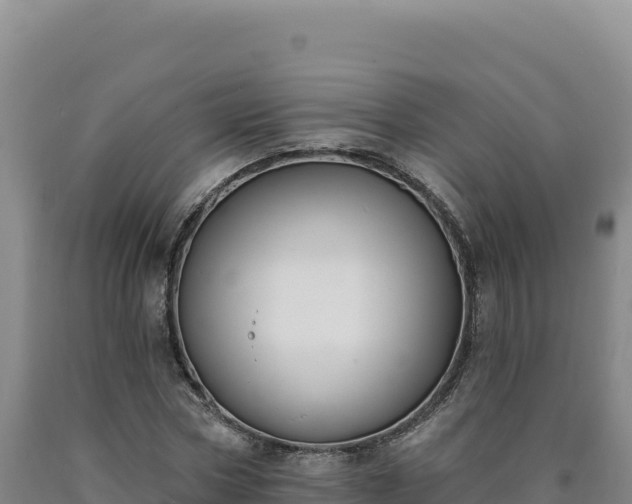 X0000090750778200707271444