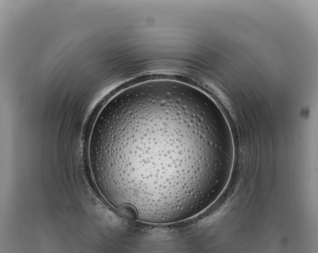 X0000090750779200707271444