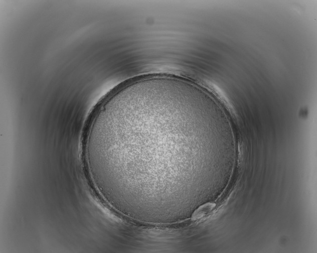 X0000090750780200707271444