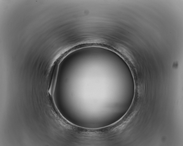 X0000090750781200707271444