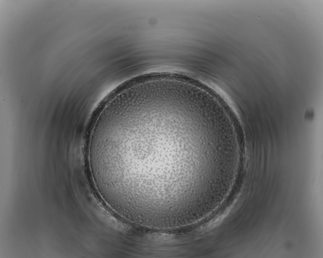 X0000090750783200707271444