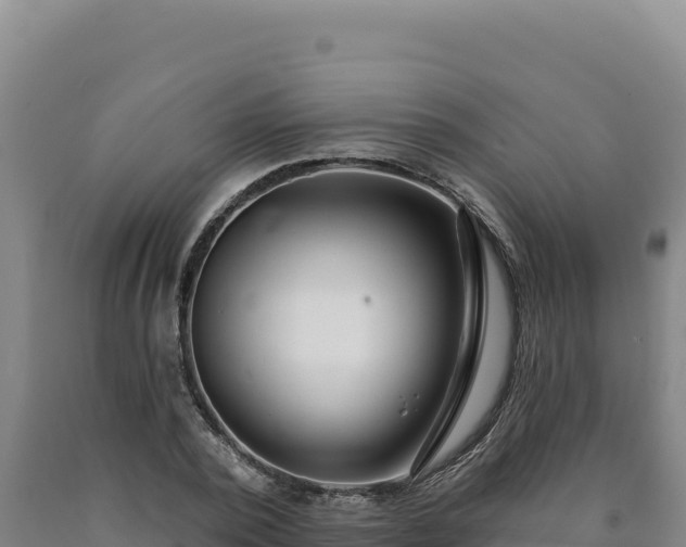 X0000090750784200707271444