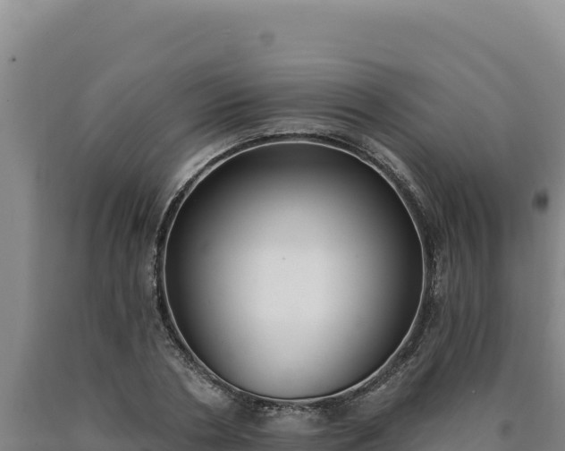 X0000090750786200707271444