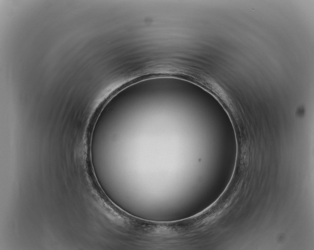 X0000090750787200707271444