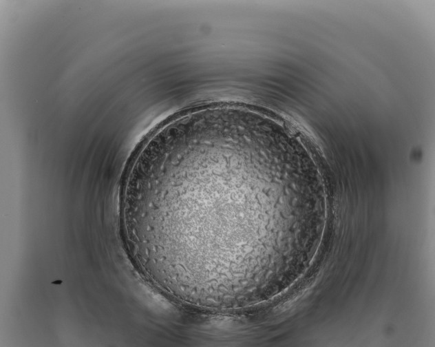 X0000090750790200707271444