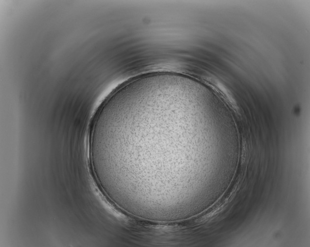 X0000090750796200707271444