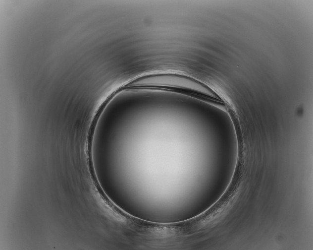 X0000090750797200707271444