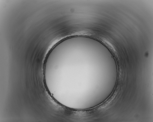 X0000090750800200707271444